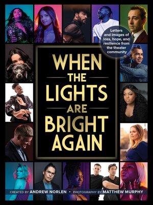 cover image of When the Lights Are Bright Again